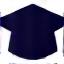 Graduation cap icon
